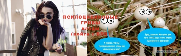 мдма Гусев