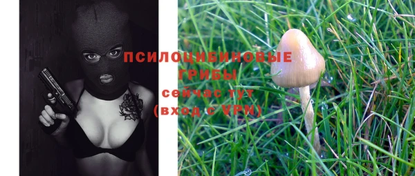 прущий лед Гусиноозёрск