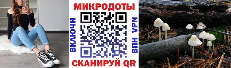 Купить где  Суоярви  Псилоцибиновые грибы прущие грибы 